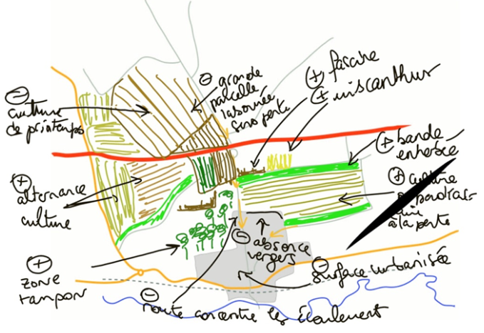Fig 11 Carte cognitive Schwindratzheim