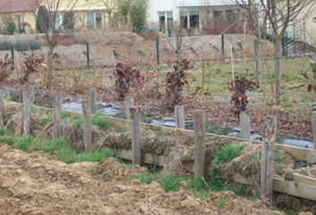 Fig 8 Fascine Lampertheim