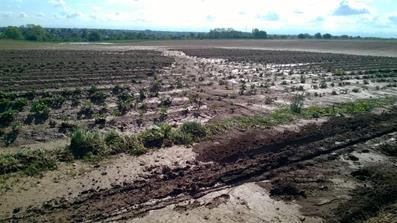 Erosion dans un talweg