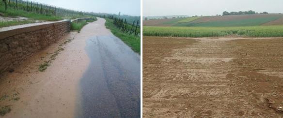 Transferts des sédiments sur un chemin goudronné